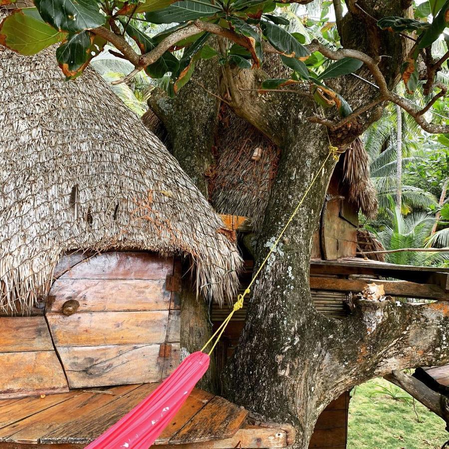Ensuenos Natural Reserve Little Corn Island Nicaragua Ngoại thất bức ảnh